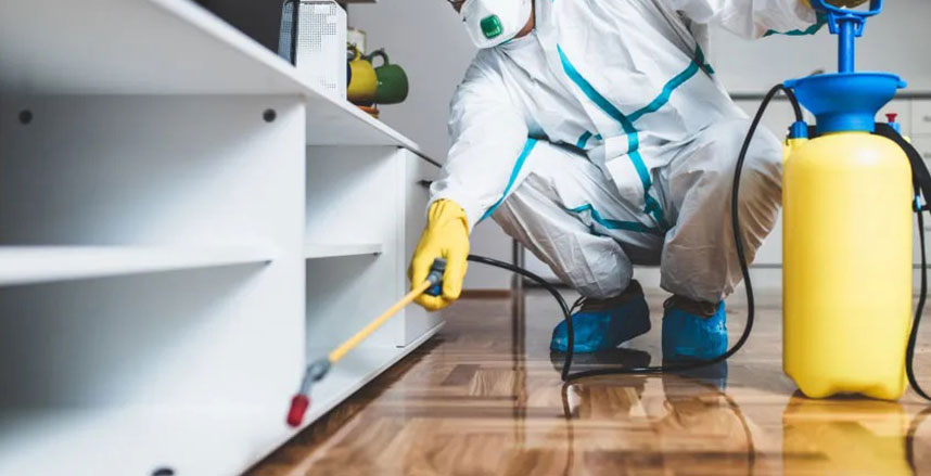 2222222.jpg 2222222.jpg