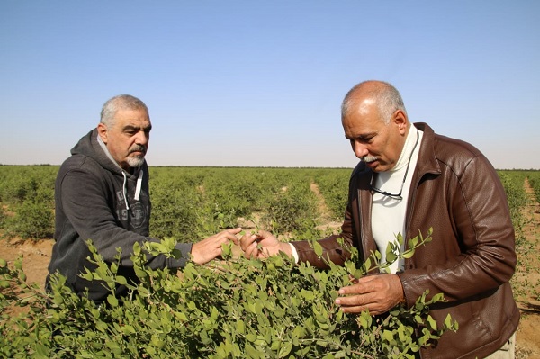 WhatsApp-Image-2024-07-02-at-9-37-30-AM.jpeg WhatsApp-Image-2024-07-02-at-9-37-30-AM.jpeg