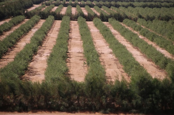 WhatsApp-Image-2024-07-02-at-9-37-30-AM(1).jpeg WhatsApp-Image-2024-07-02-at-9-37-30-AM(1).jpeg