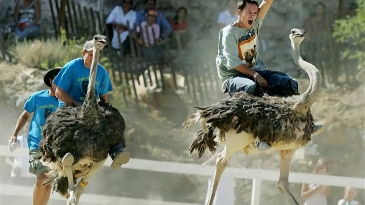 09d59a00-3baf-4fe4-af91-34dd4ff25046.jpg 09d59a00-3baf-4fe4-af91-34dd4ff25046.jpg