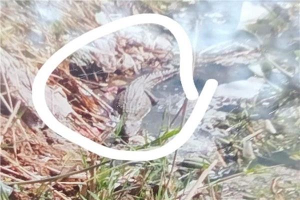 3519867b-2d4d-4c36-bcde-fd7d26a032be_2024.jpg 3519867b-2d4d-4c36-bcde-fd7d26a032be_2024.jpg