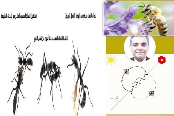 d0ec84b9-b0d0-4bf2-aca6-1692faca309d_2024.jpg d0ec84b9-b0d0-4bf2-aca6-1692faca309d_2024.jpg