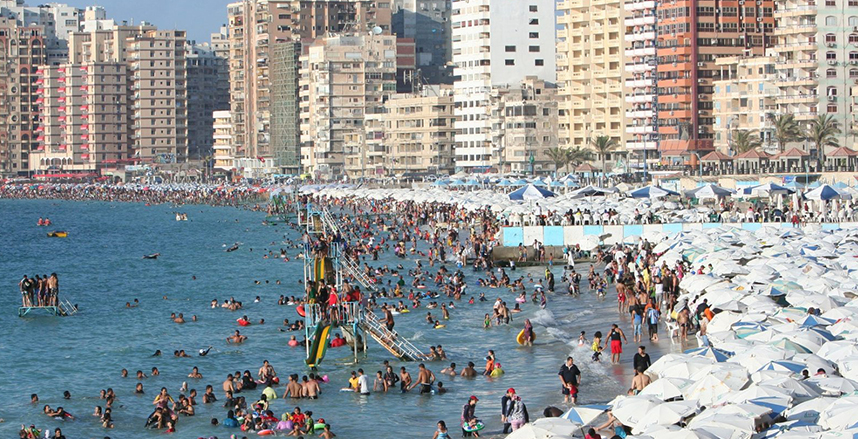 اليكس.jpg اليكس.jpg