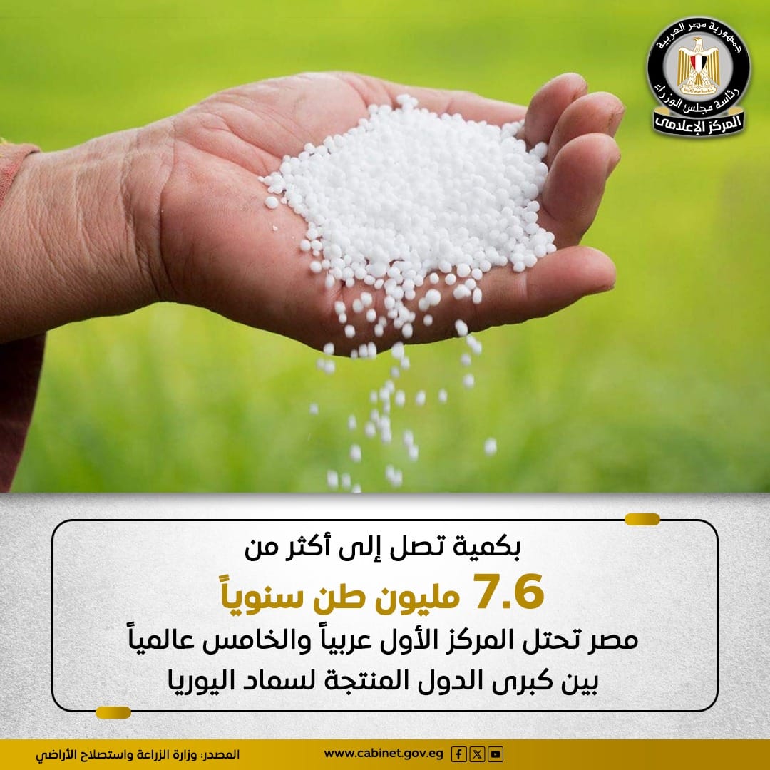 481153087_1161265106043908_2335429788039925992_n.jpg 481153087_1161265106043908_2335429788039925992_n.jpg