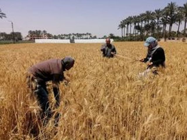 f789aebb-d40a-493e-8039-2d066f597b20_2023.jpg f789aebb-d40a-493e-8039-2d066f597b20_2023.jpg