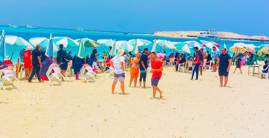 ميف.jpg ميف.jpg